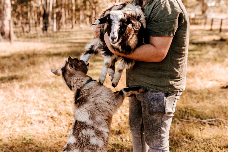 Tiny Houses (Australia, Girvan, New South Wales)
