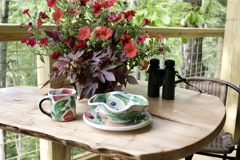 Vacation Rentals (United States of America, Zirconia, North Carolina)