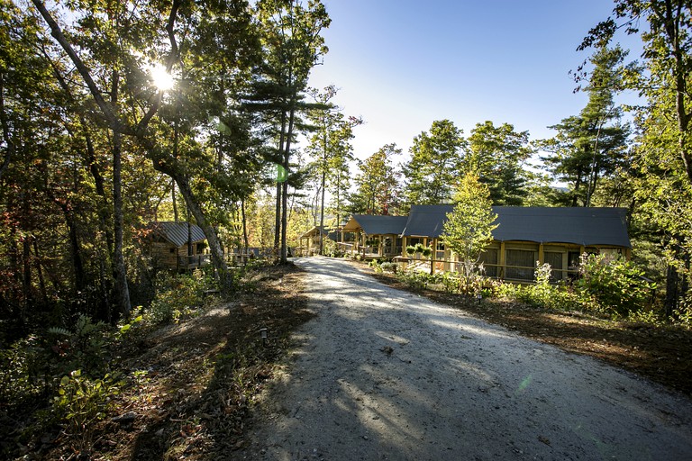 Tree Houses (United States of America, Zirconia, North Carolina)