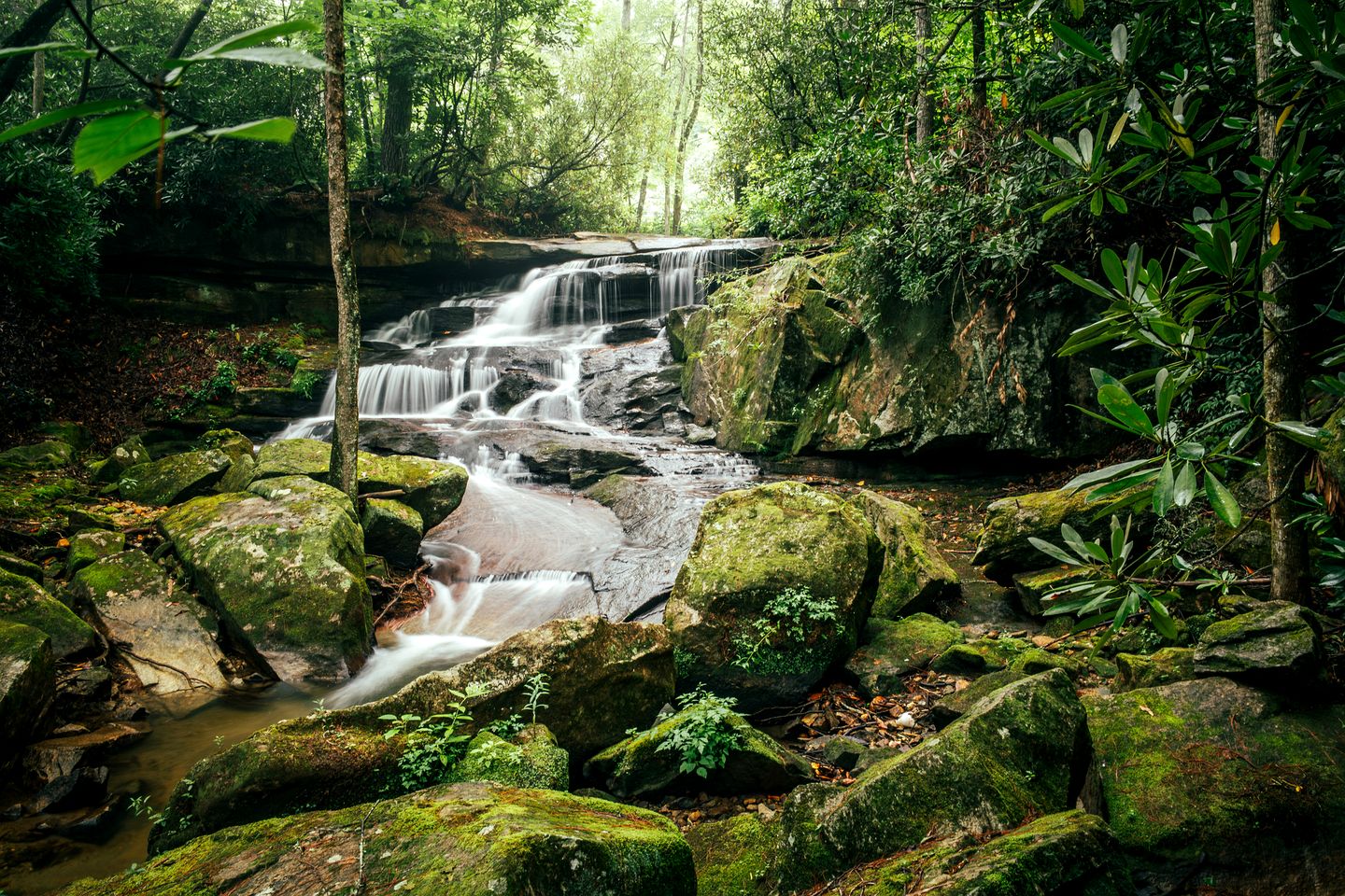 Secluded Glamping Tree Tent with Outdoor Soaking Tub & Private Pizza Oven Near Waterfalls, Zirconia, NC