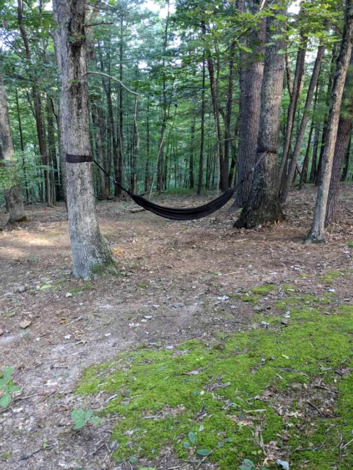 Charming Dog-Friendly Mountain Cabin with Fire Pit & Screened Porch Near Berkeley Springs | West Virginia