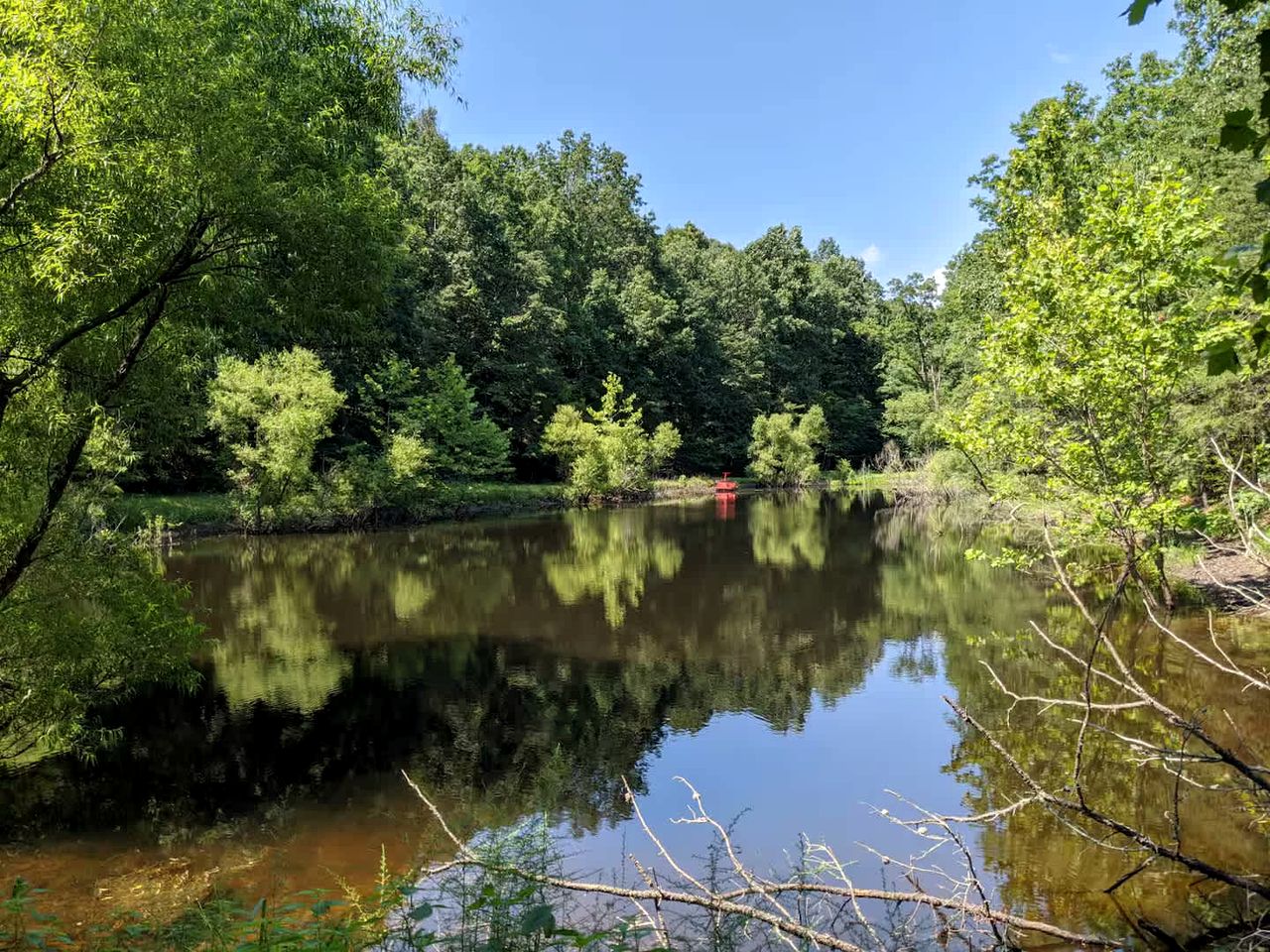 Charming Dog-Friendly Mountain Cabin with Fire Pit & Screened Porch Near Berkeley Springs | West Virginia
