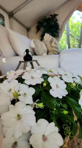 Elegant Safari Tent with Large Wooden Deck in Tsawwassen, British Columbia | Safari Tents (Tsawwassen, British Columbia, Canada)