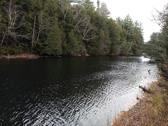 Cottages (Canada, Kawartha Lakes, Ontario)