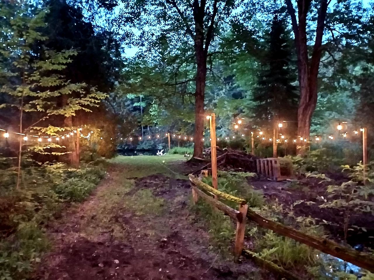 Stunning Cottage with Fire Pit and Private Cinema in Kawartha Lakes, Ontario