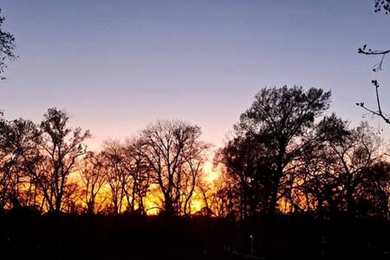 Vacation Rentals (United States of America, --, --)