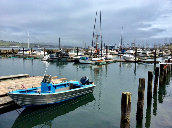 Vacation Rentals (United States of America, Bodega Bay, California)