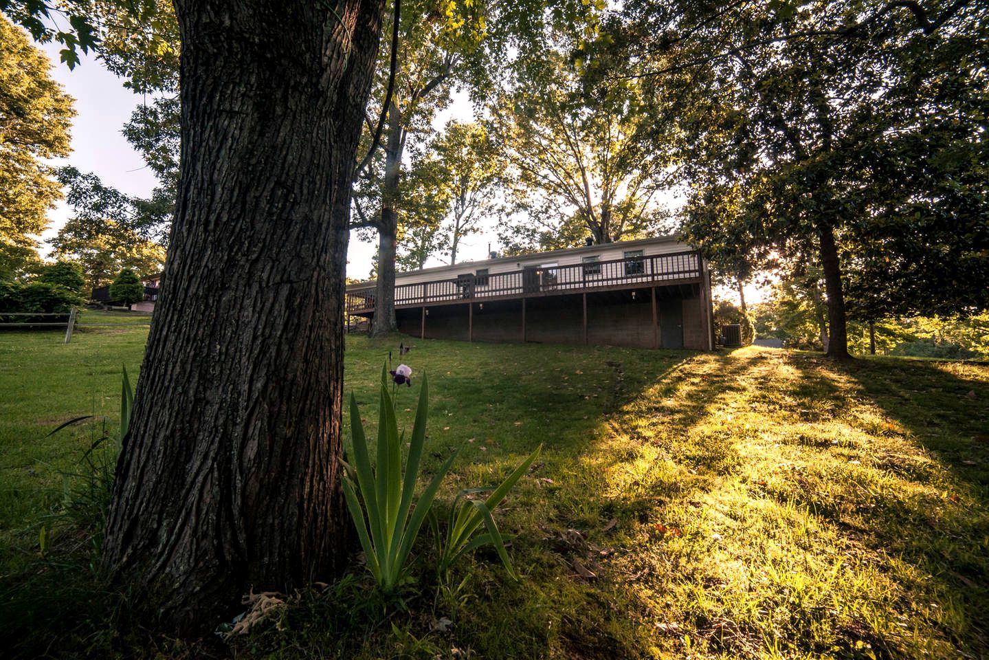 Modern Vacation Rental for Six near Kentucky Lake in Buchanan, Tennessee