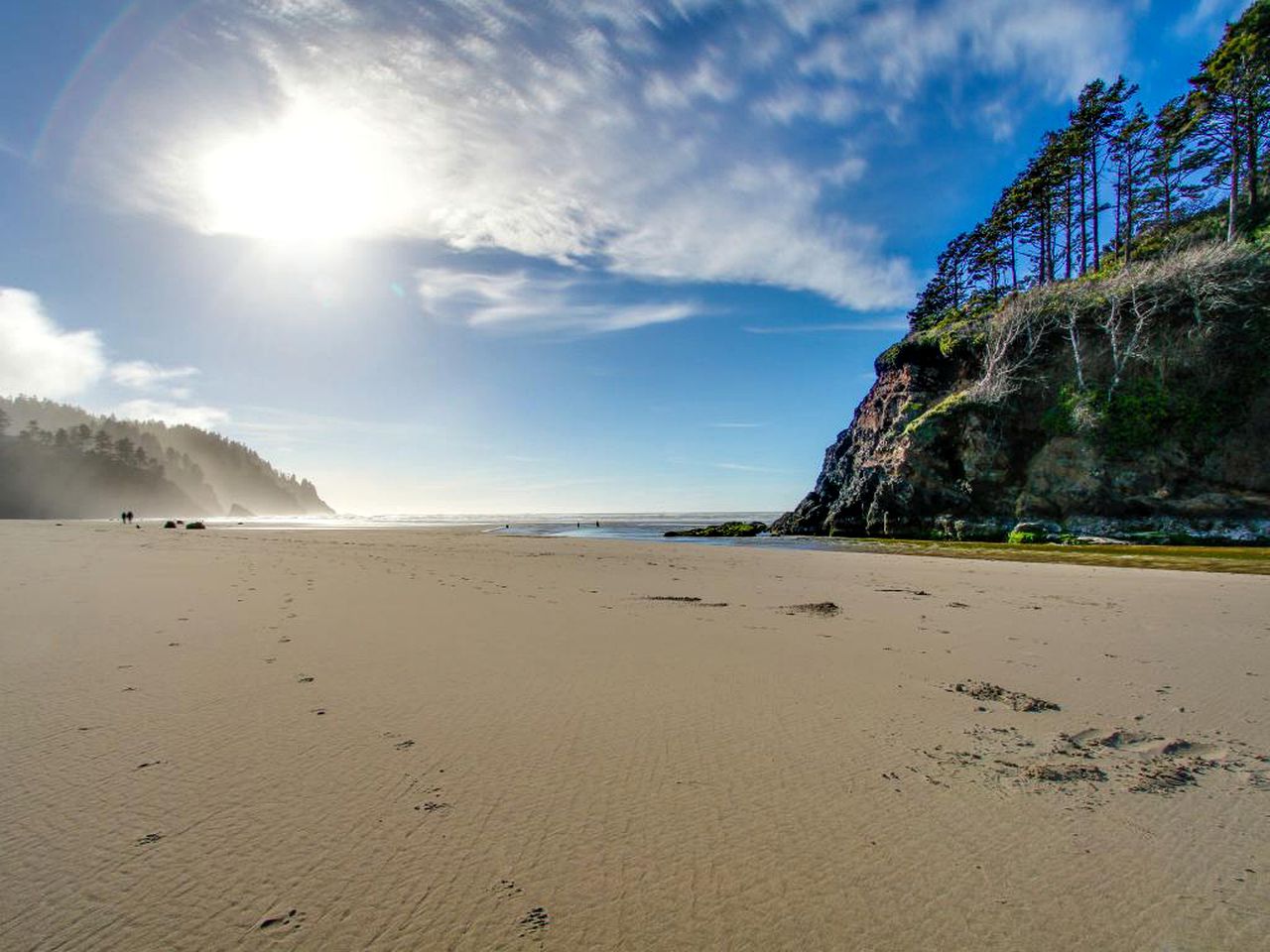 DogFriendly Cabin near Pacific City, Oregon