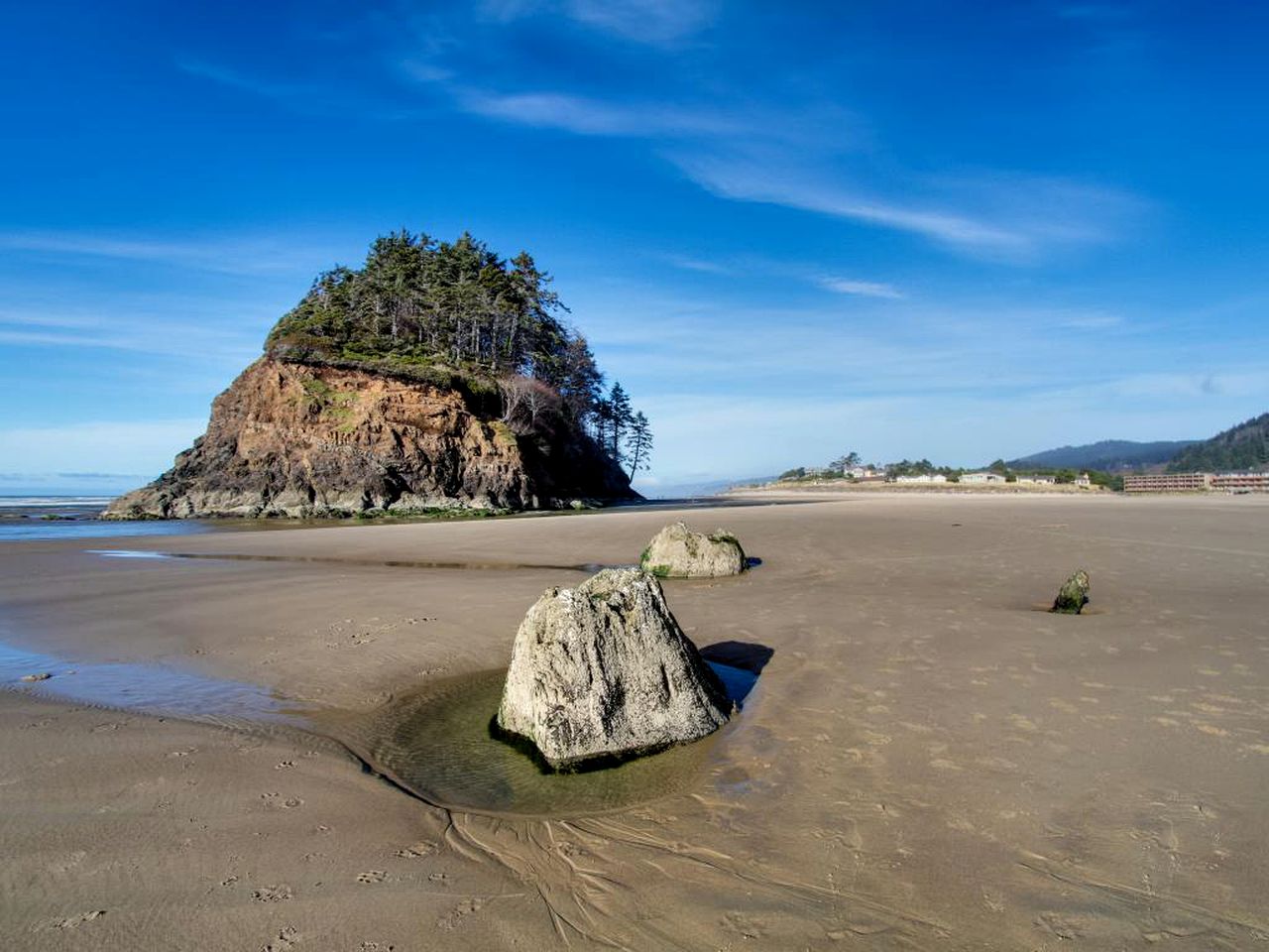DogFriendly Cabin near Pacific City, Oregon