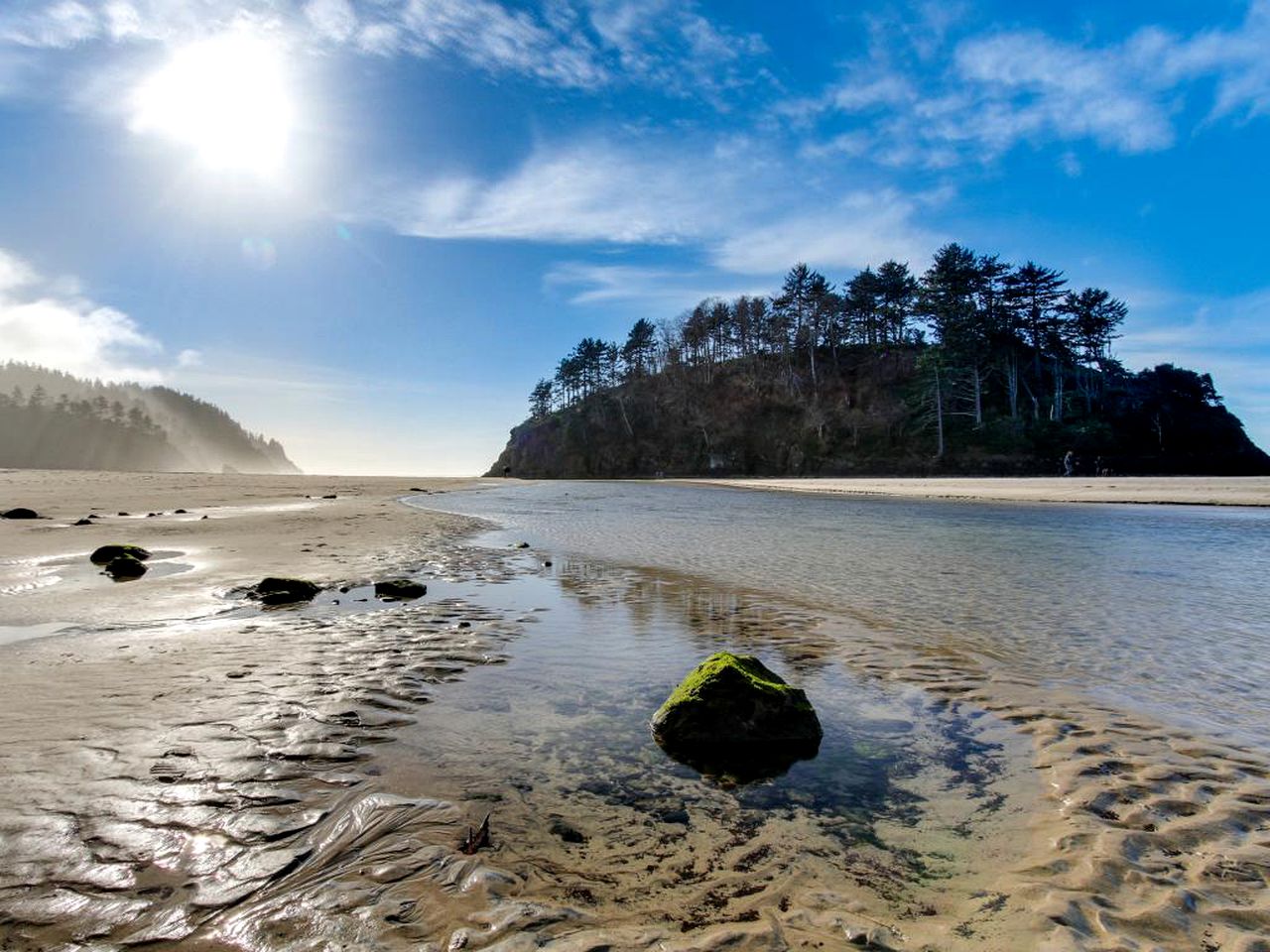 DogFriendly Cabin near Pacific City, Oregon