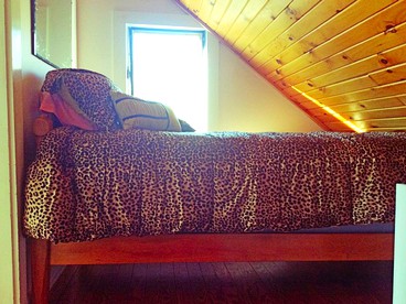 undefined photo 5