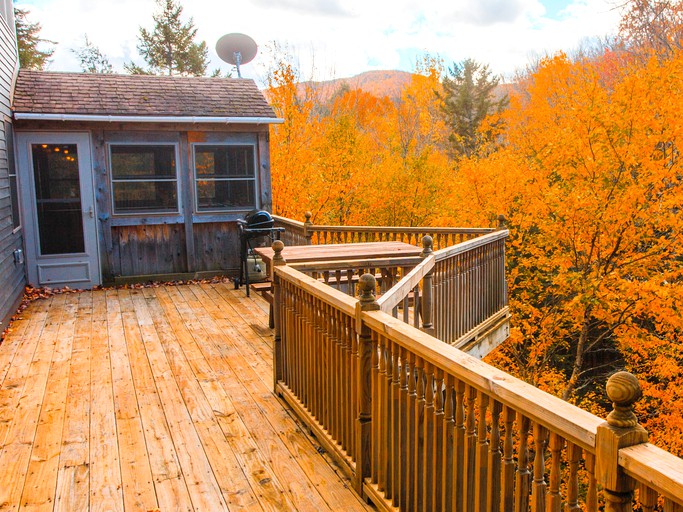 Snow covers the tree house (Johnson, Vermont, United States)