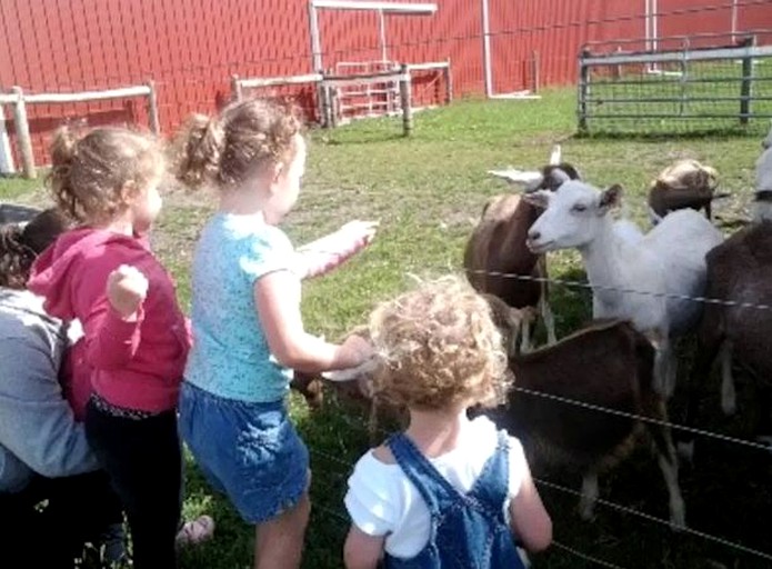 Nature Lodges (Cooksburg, Pennsylvania, United States)