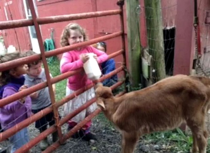 Nature Lodges (Cooksburg, Pennsylvania, United States)