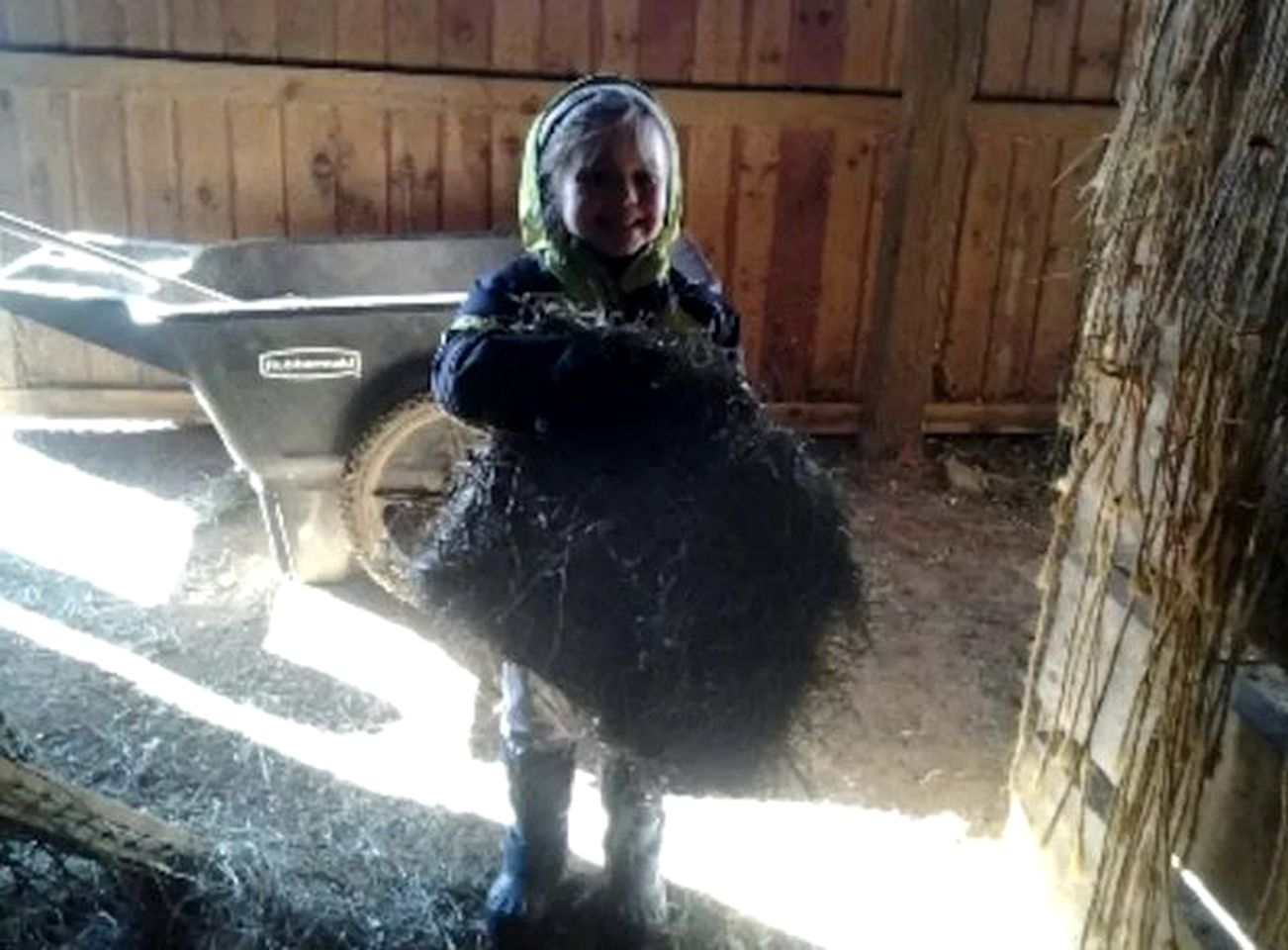 Cozy Vacation Room on a Farm Stay in Coopersburg, Pennsylvania