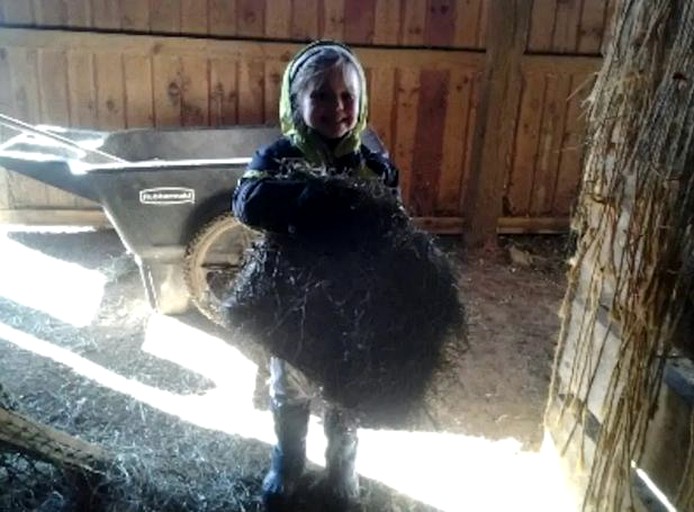 Nature Lodges (Cooksburg, Pennsylvania, United States)