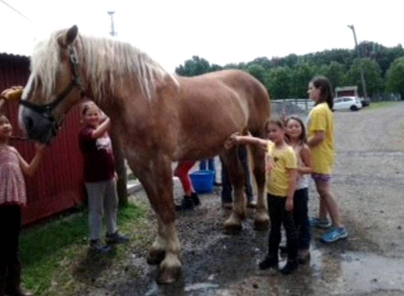 Cozy Vacation Room on a Farm Stay in Coopersburg, Pennsylvania