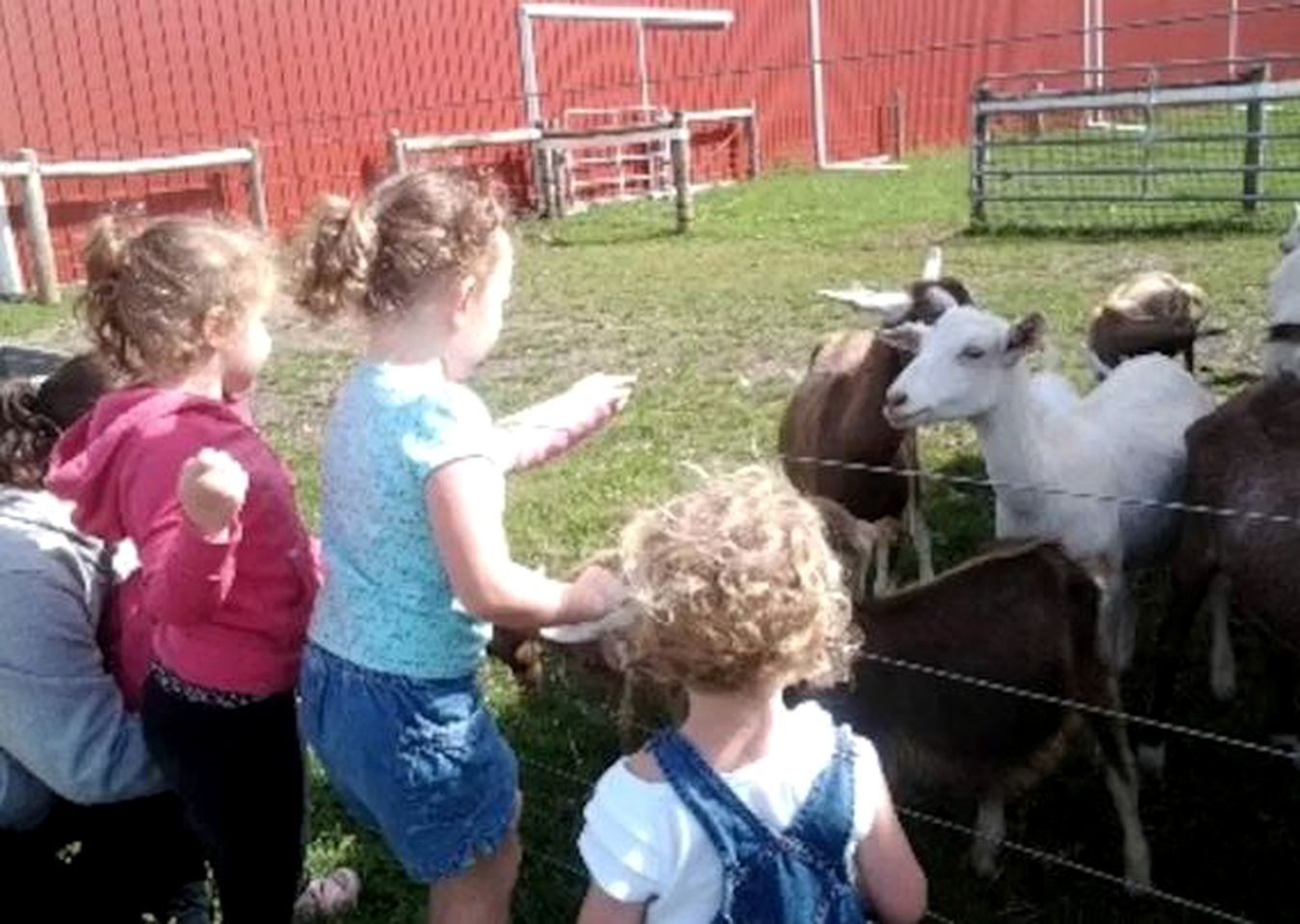 Cozy Farm Stay Room with Large Deck in Allentown, Pennsylvania