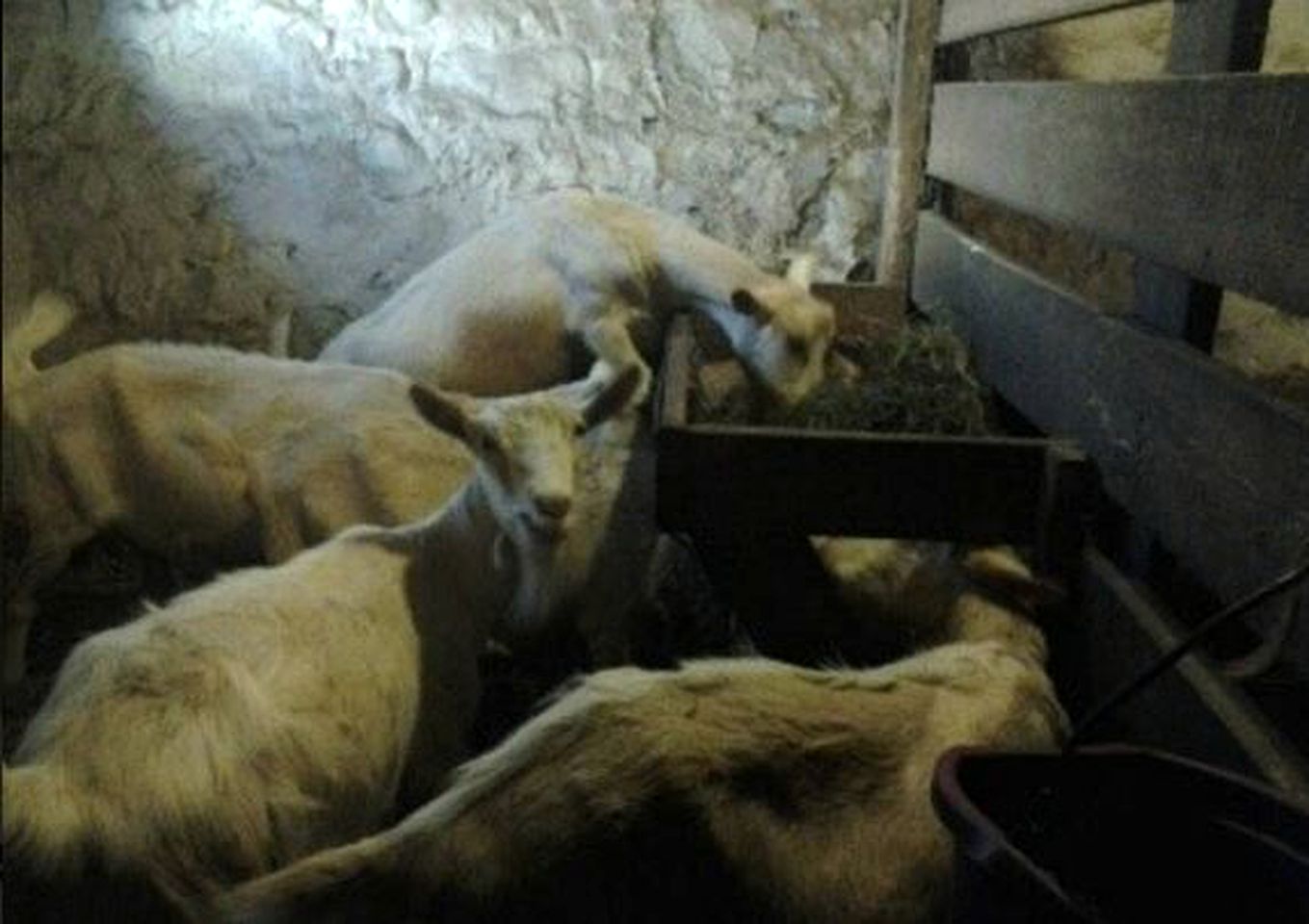 Cozy Farm Stay Room with Large Deck in Allentown, Pennsylvania