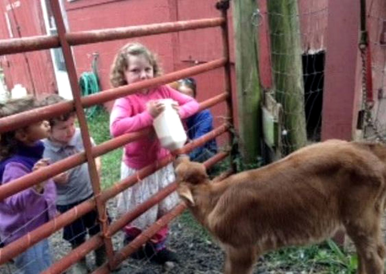 Cozy Farm Stay Room with Large Deck in Allentown, Pennsylvania