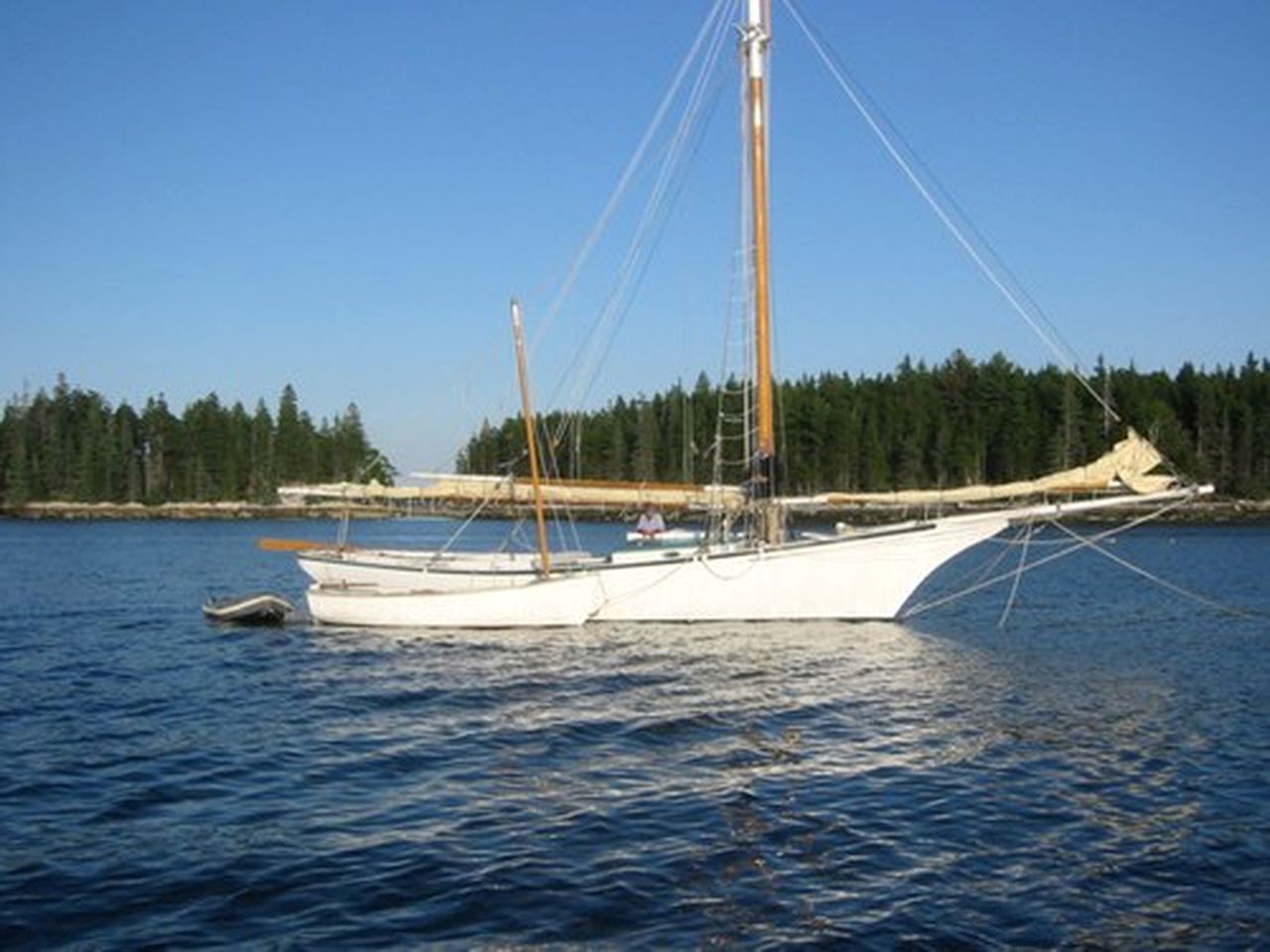 Woodland Cottage Rental Nestled Among Spruce Trees near the Todd Wildlife Sanctuary, Maine