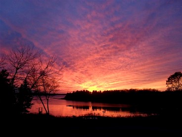 Oceanfront Cottage Rental with 300-Degree Views on Muscongus Bay, Maine photo 5