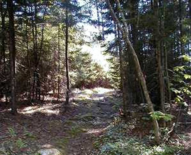 Log Cabins (Friendship, Maine, United States)