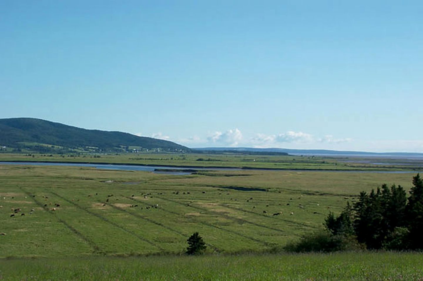 Historic Bed and Breakfast Accommodation near Hopewell Cape, New Brunswick