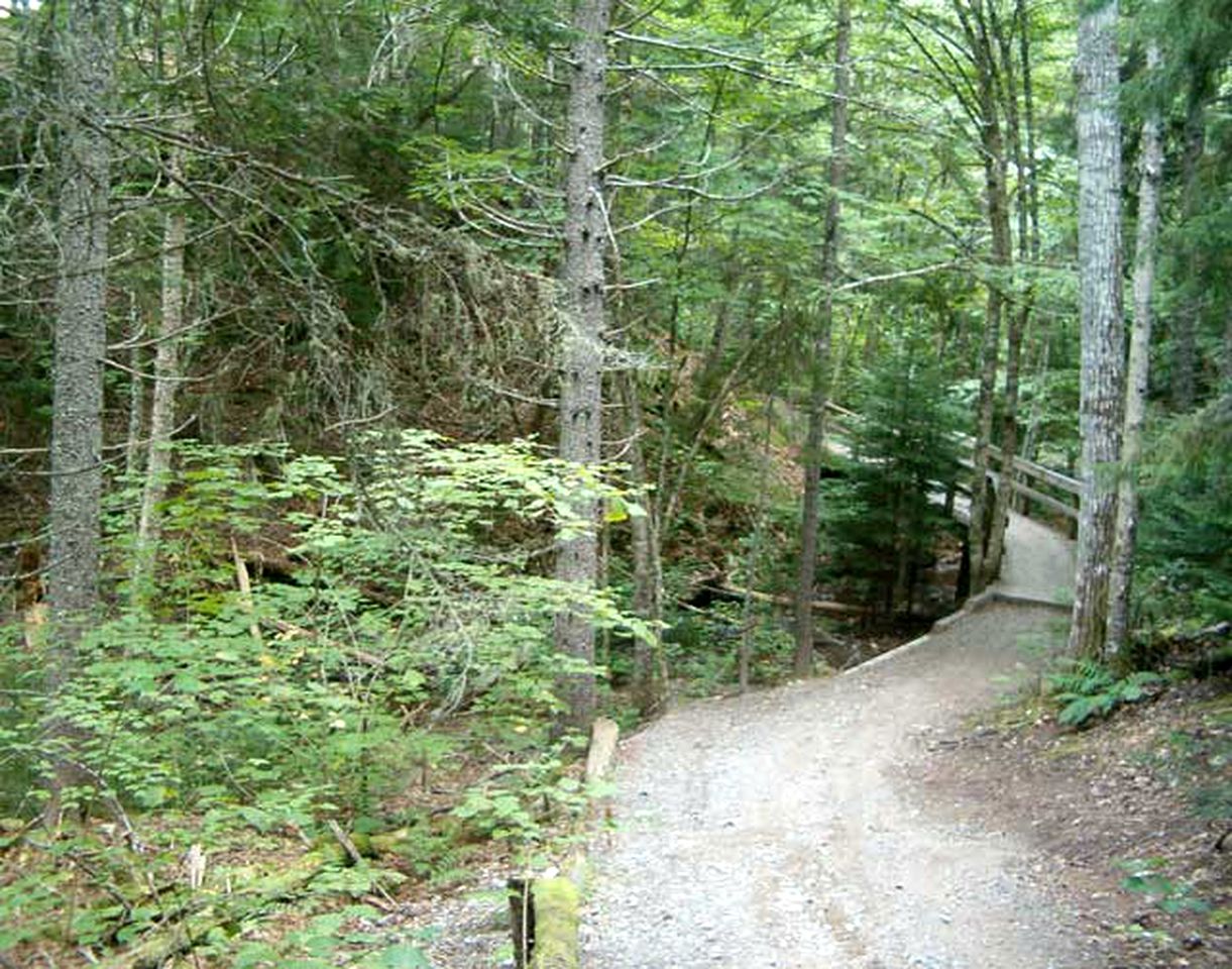 Cozy Bed and Breakfast Accommodation with a Fireplace near Fundy National Park, New Brunswick