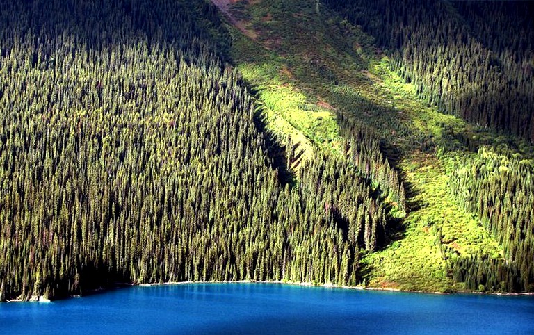 Tented Cabins (Kamloops, British Columbia, Canada)