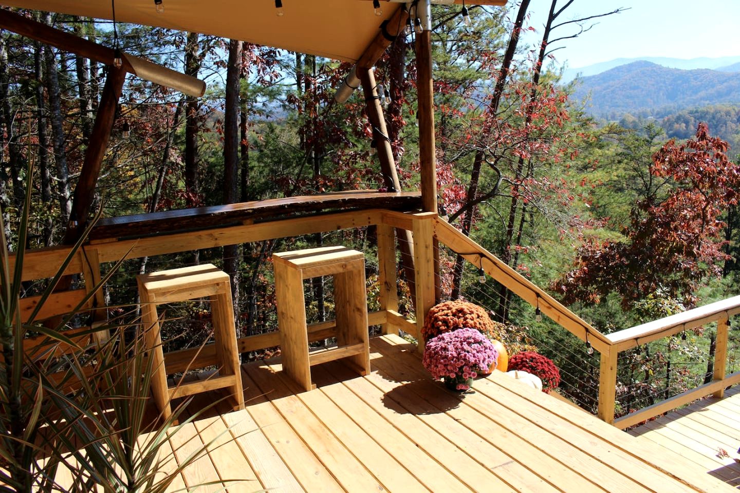 Luxury Safari Tent Near Great Smoky Mountains, Tennessee