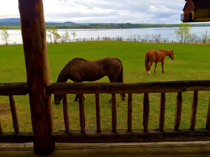 Log Cabins (One Hundred Mile House, British Columbia, Canada)