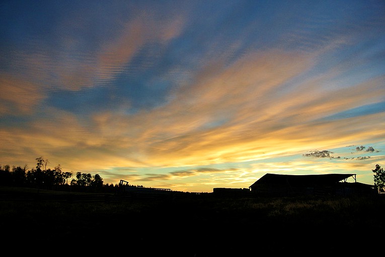 Log Cabins (One Hundred Mile House, British Columbia, Canada)