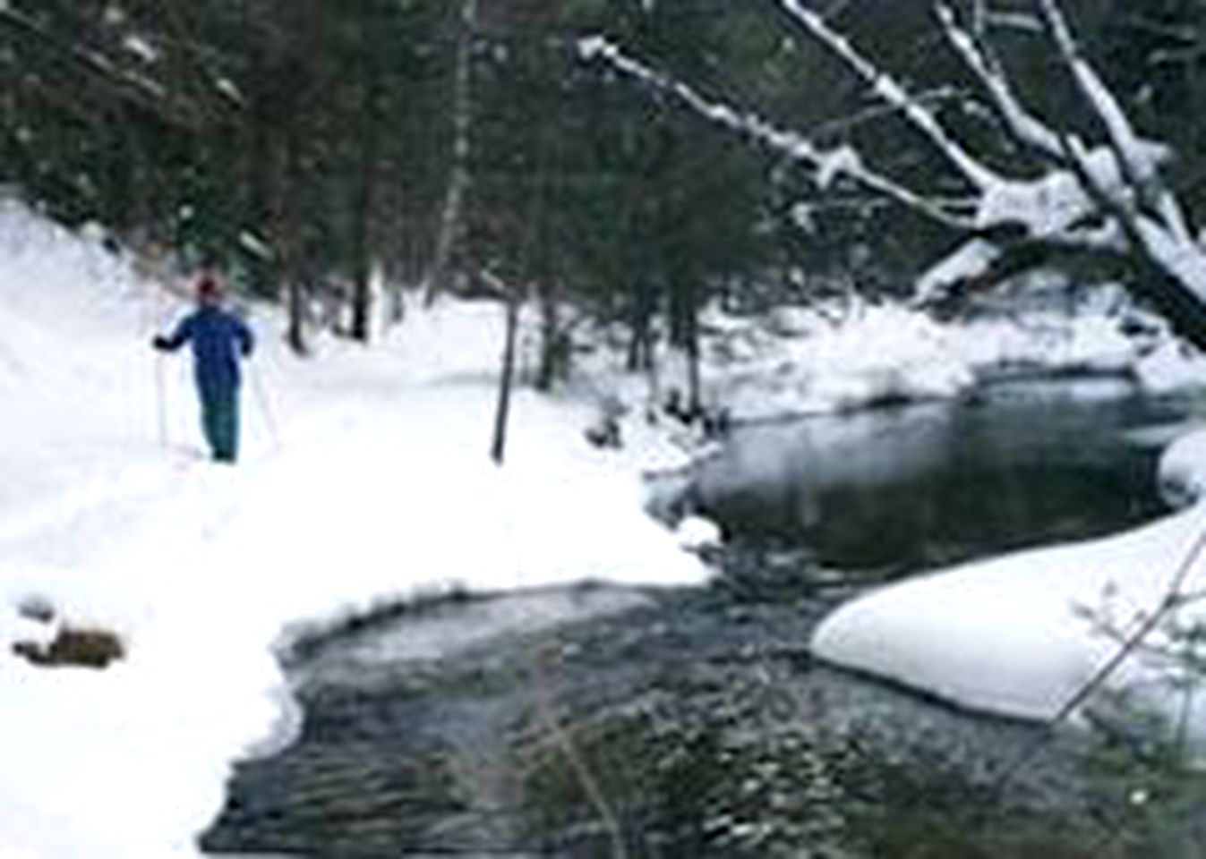 Pet-Friendly Accommodation on a 50-Acre Property near the Lakes Region of Maine