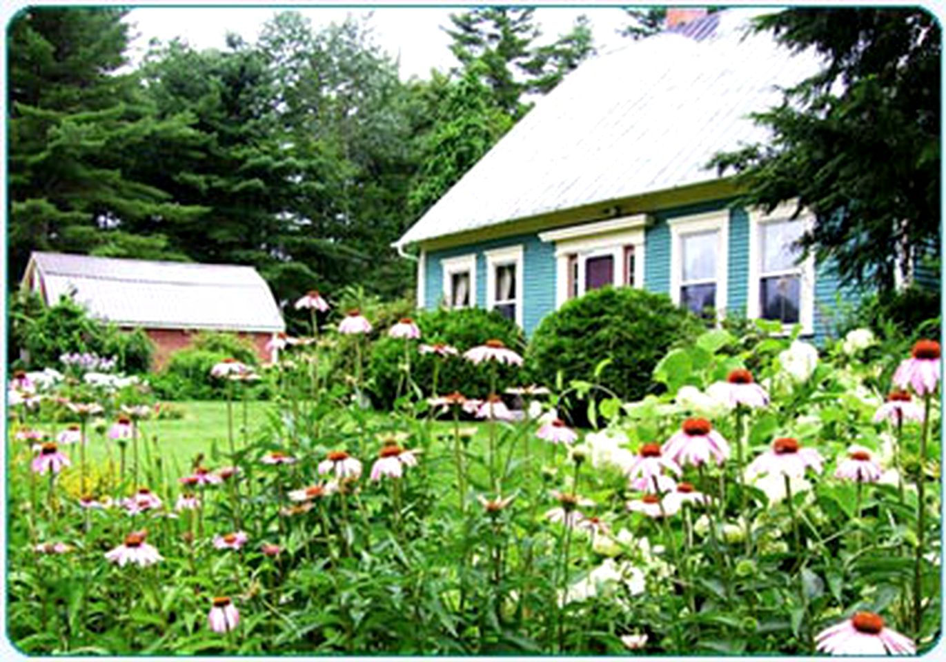 Nature Lodges (Brownfield, Maine, United States)