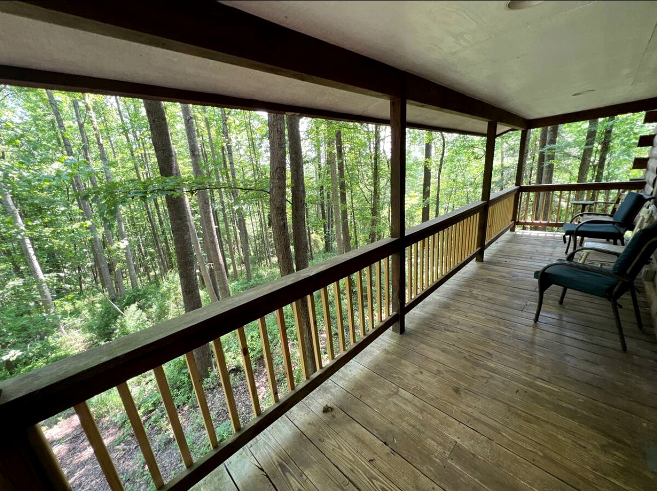 Cozy Forest Cabin Surrounded by Trees near Stone Mountain State Park, North Carolina