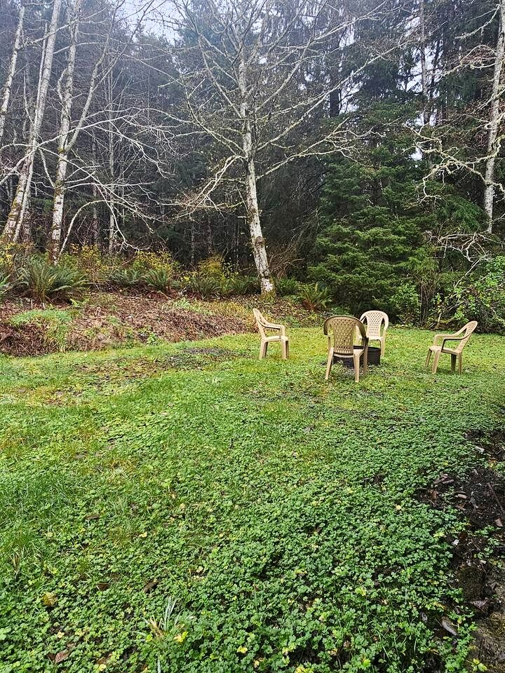 Secluded Forest Cabin Retreat Near Olympic Peninsula Coast | Near Sekiu, Washington