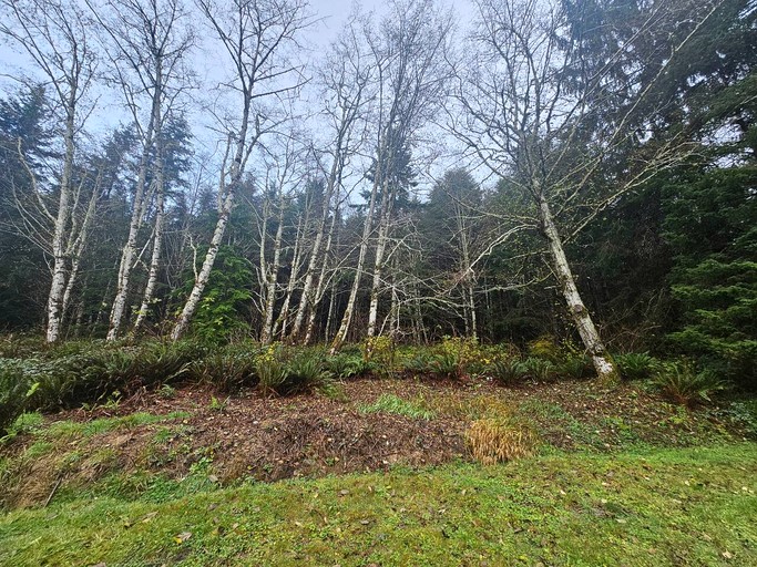 Cabins (United States of America, Clallam County, Washington)