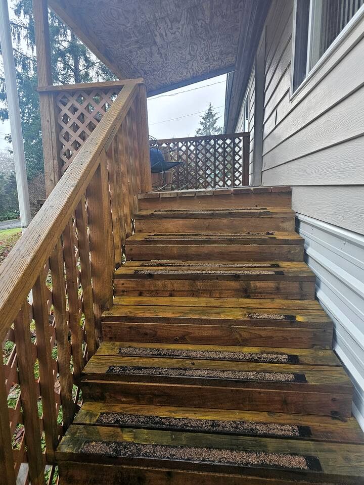 Secluded Forest Cabin Retreat Near Olympic Peninsula Coast | Near Sekiu, Washington