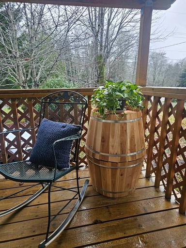 Cabins (United States of America, Clallam County, Washington)