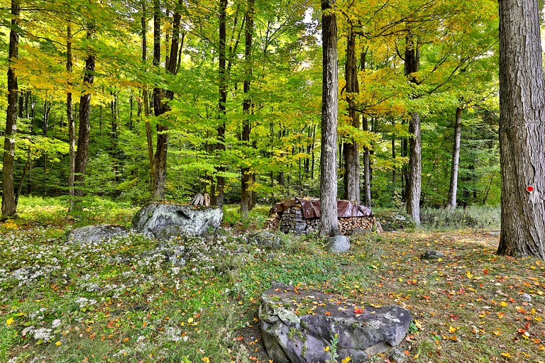 Cabins (United States of America, Mendon, Vermont)