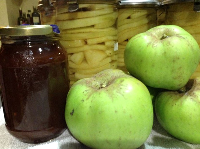 Nature Lodges (Launceston, Tasmania, Australia)