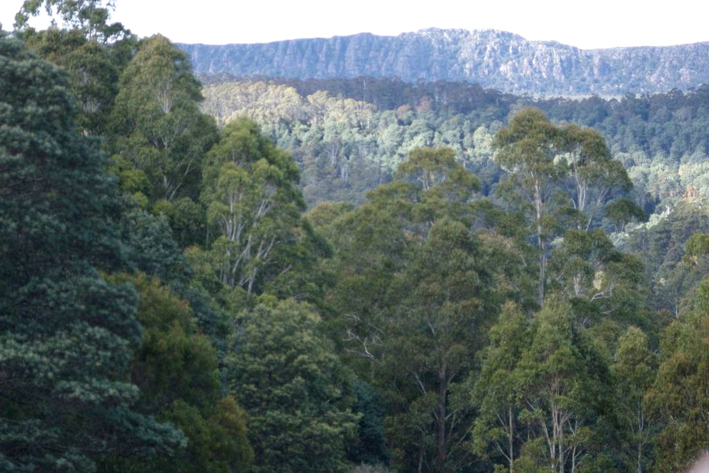 Romantic Suite at a Charming Bed and Breakfast near Deloraine, Tasmania