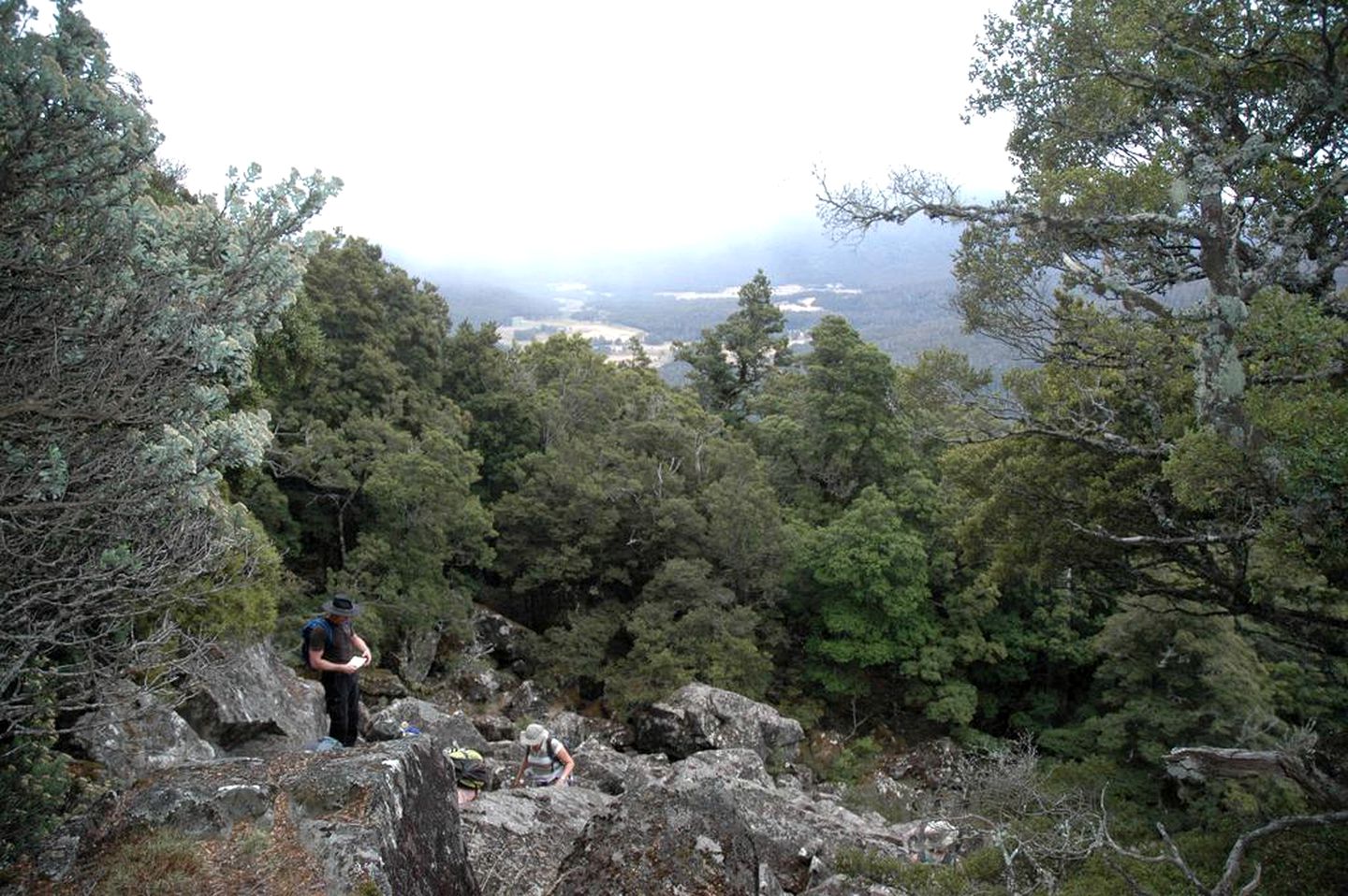 Cozy Bed and Breakfast Tucked Away in the Mountains of Northern Tasmania near Deloraine
