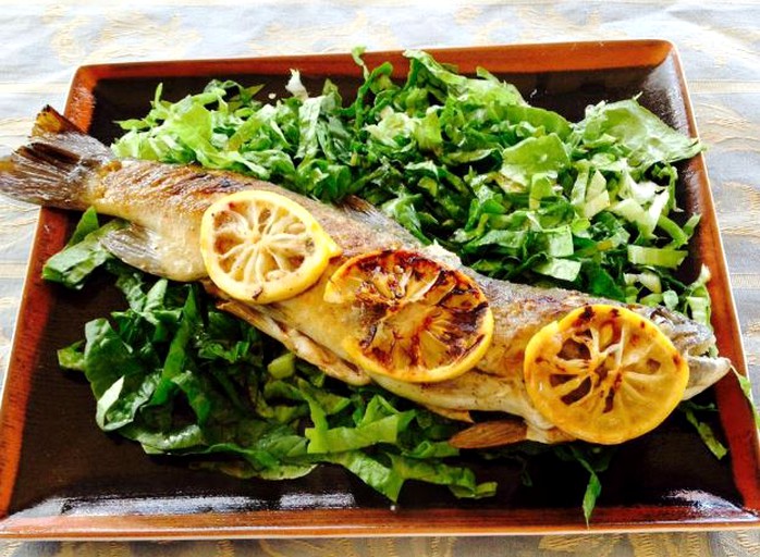 Nature Lodges (Launceston, Tasmania, Australia)