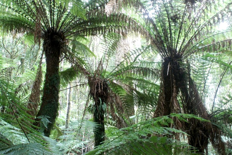 Nature Lodges (Launceston, Tasmania, Australia)