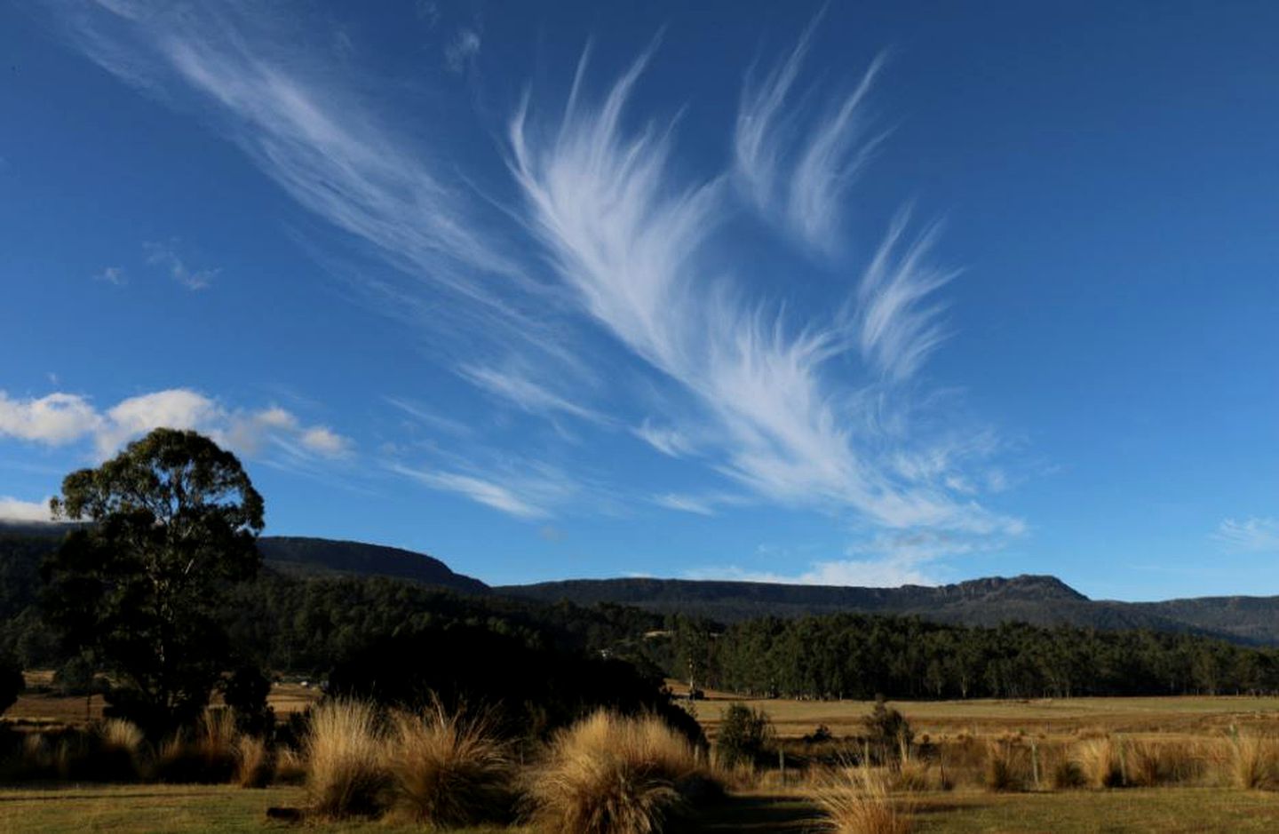 Delightful Room Rental in Secluded Bed and Breakfast in the Great Western Tiers of Northern Tasmania