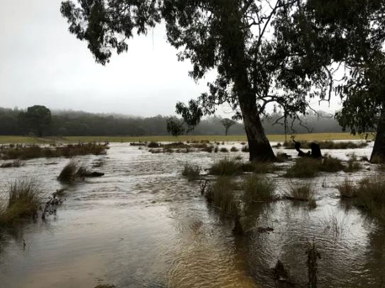 Delightful Room Rental in Secluded Bed and Breakfast in the Great Western Tiers of Northern Tasmania