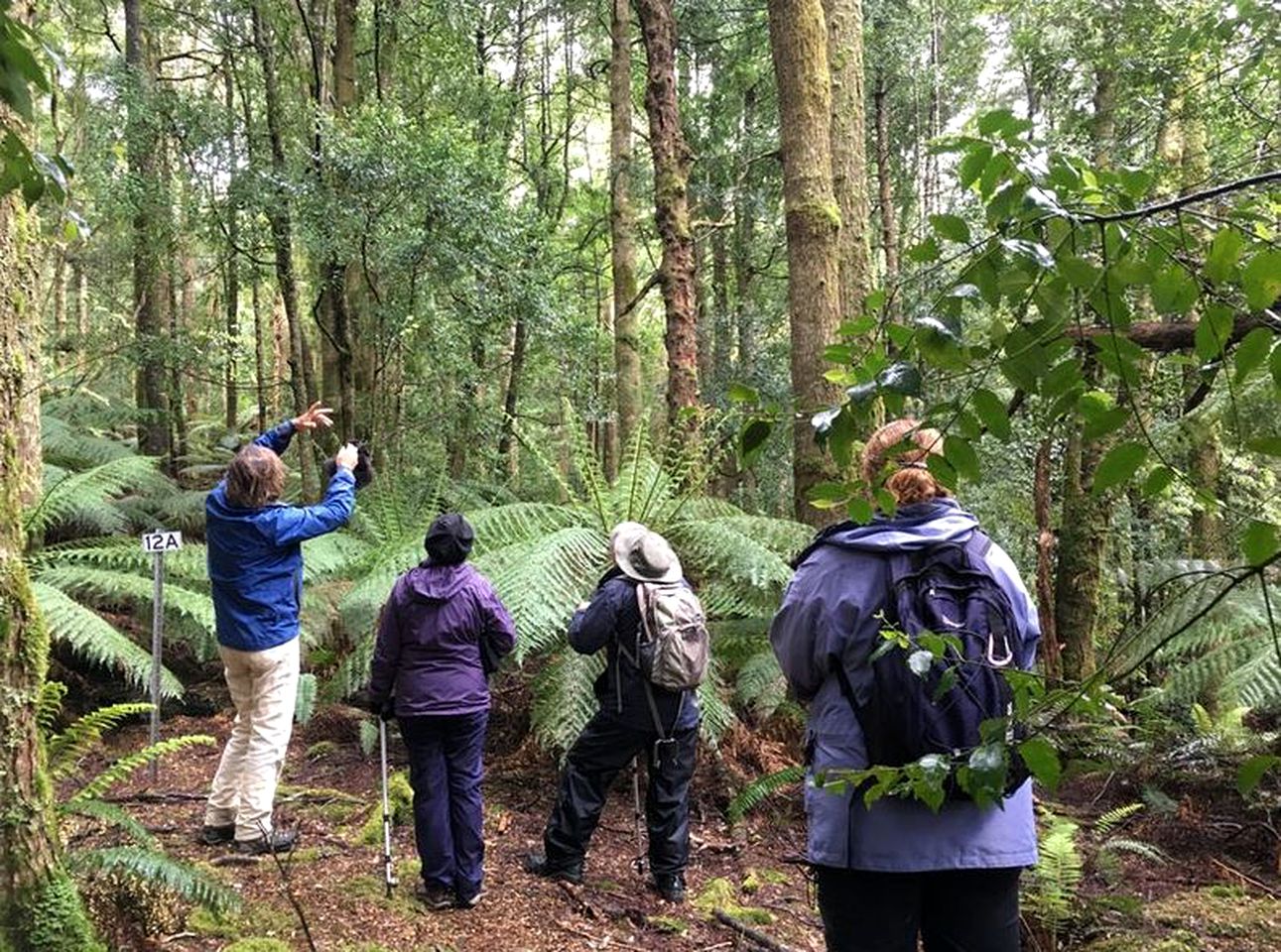 Delightful Room Rental in Secluded Bed and Breakfast in the Great Western Tiers of Northern Tasmania